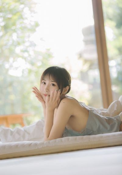 新流星蝴蝶剑