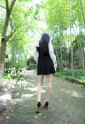 拜托小姐全集免费观看国语版